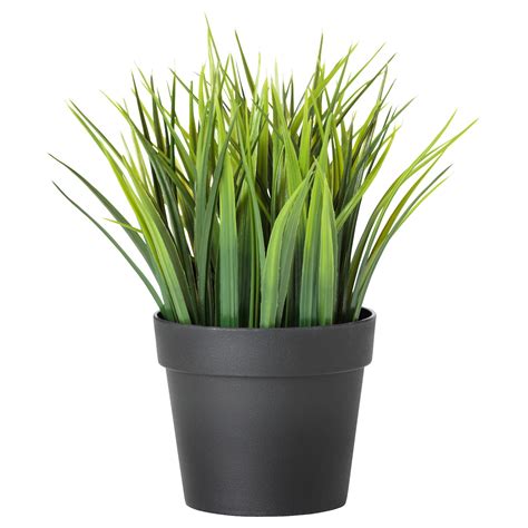 Add to shopping bag. . Ikea artificial plant